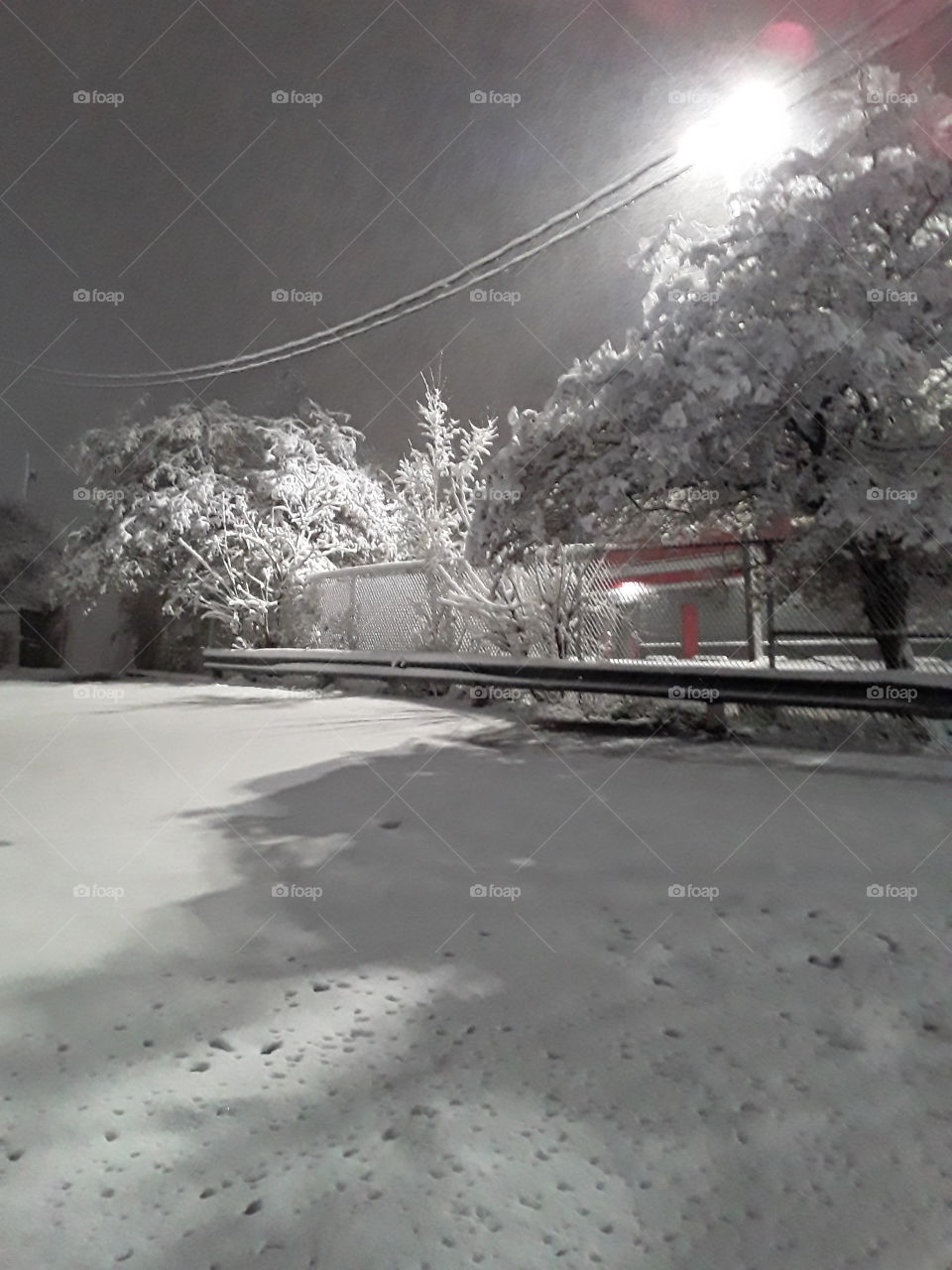 after a snow storm. White calm