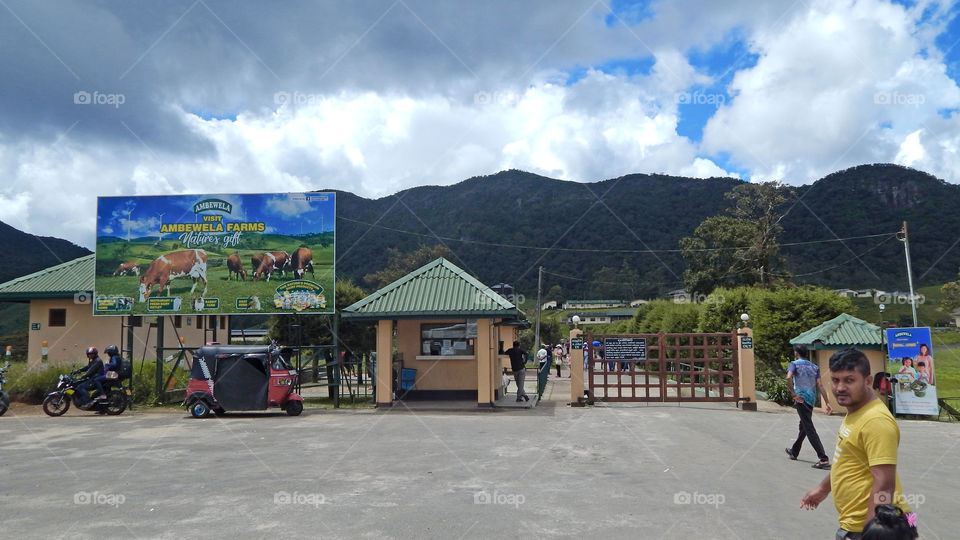 Amdaywewa farme Sri Lanka
