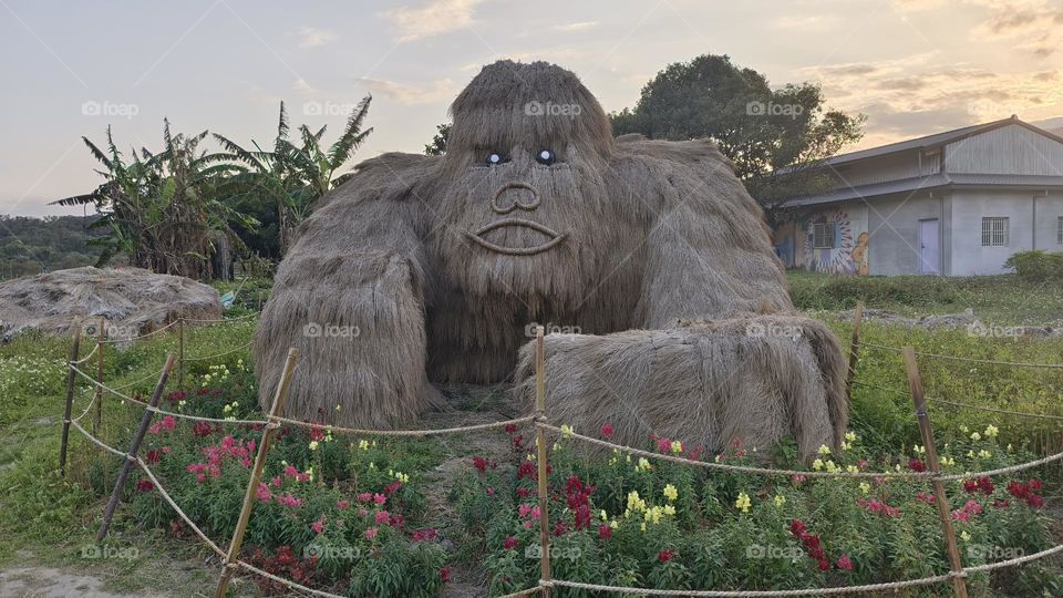 Closeup shot of a beautiful white and black and white monkey with straw background
