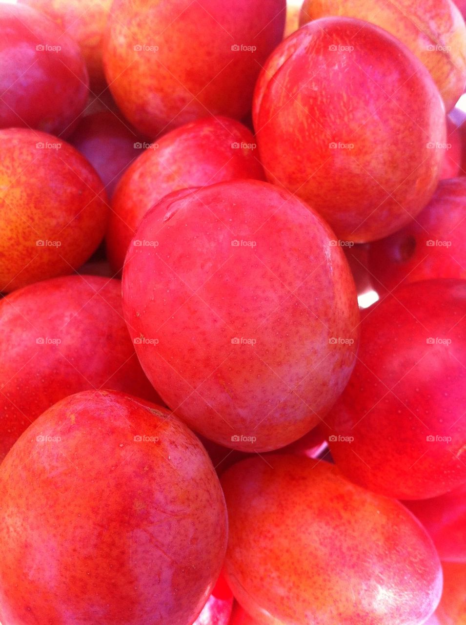 Harvested red Victoria plums.