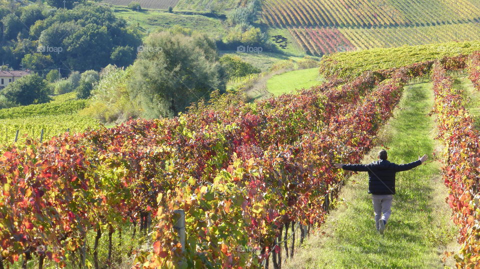 Happy man inside in the Autumn atmosphere 