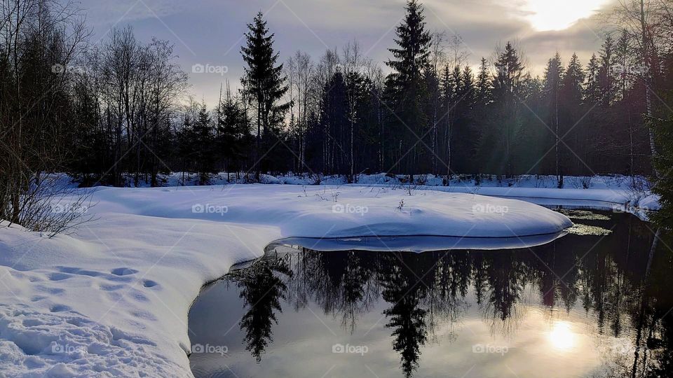 Winter landscape ❄️ Forest ❄️ Snow ❄️