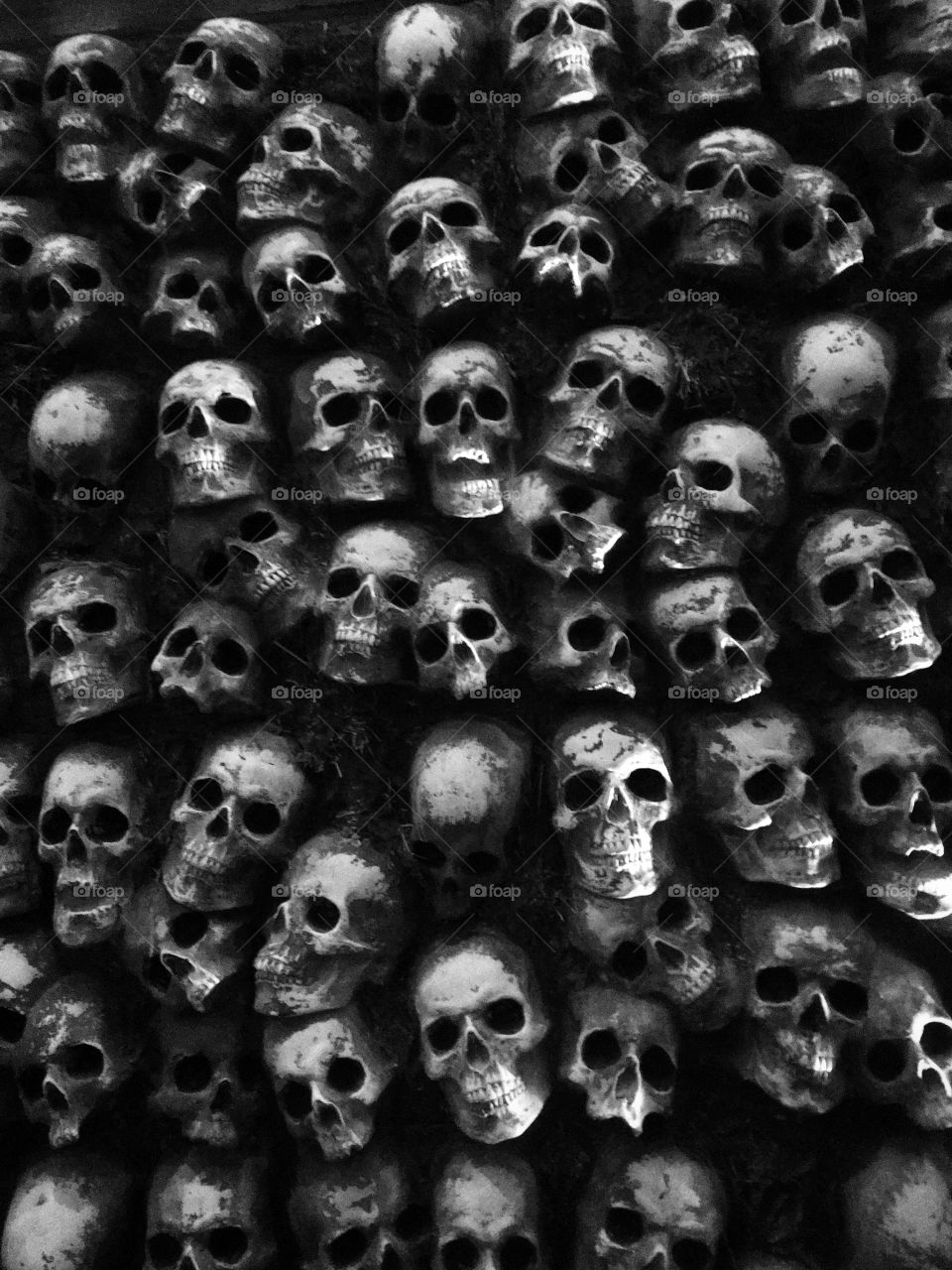 Wall of skulls—taken in St. Augustine, Florida 