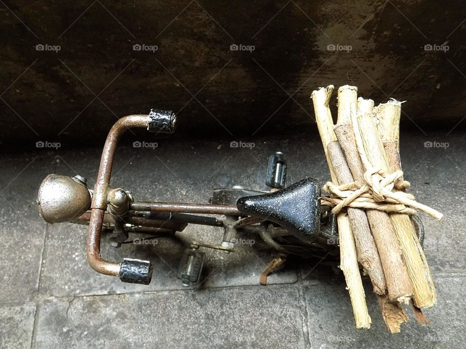 Looking for firewood with an old bicycle