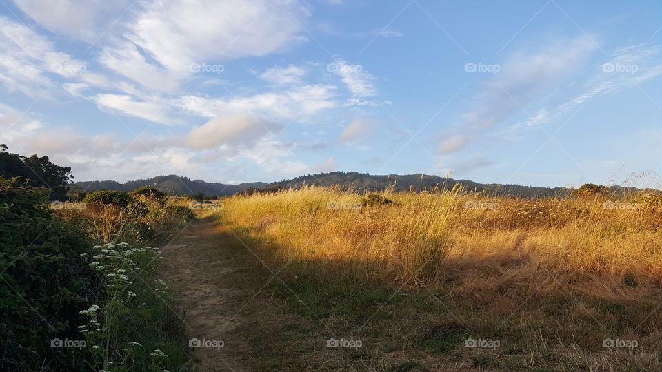 Peaceful path from the shore to the mountains.