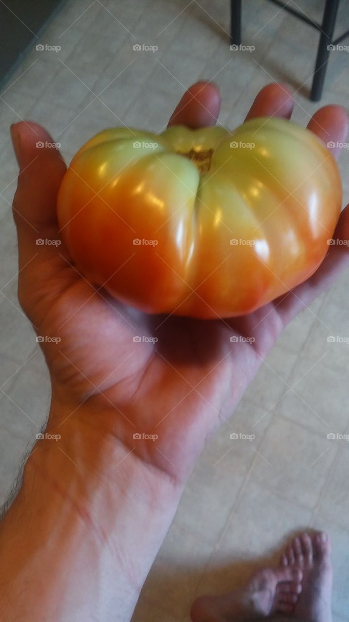 tomato