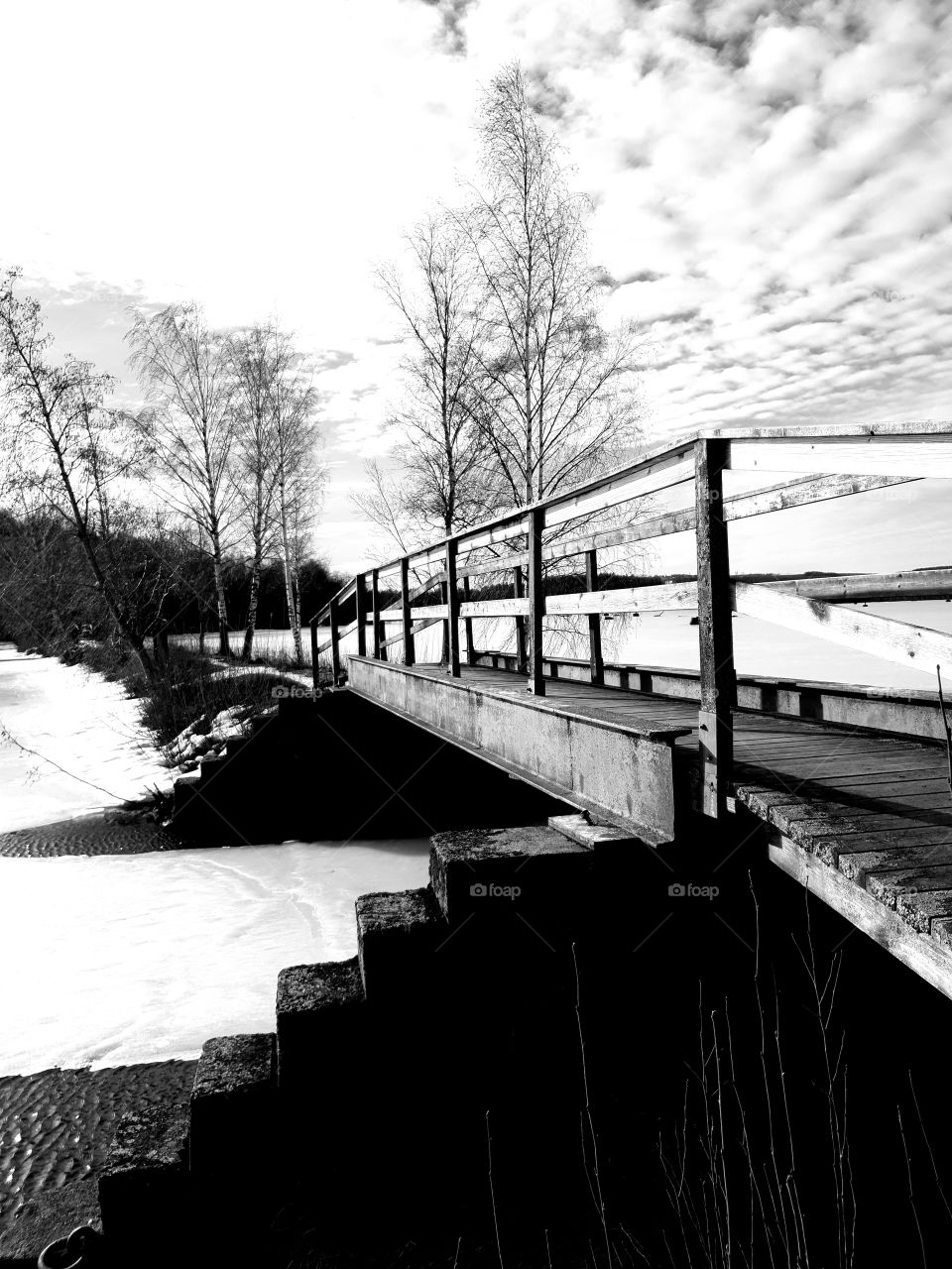 Bridge in black and white