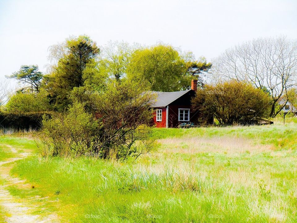 Idyllic house