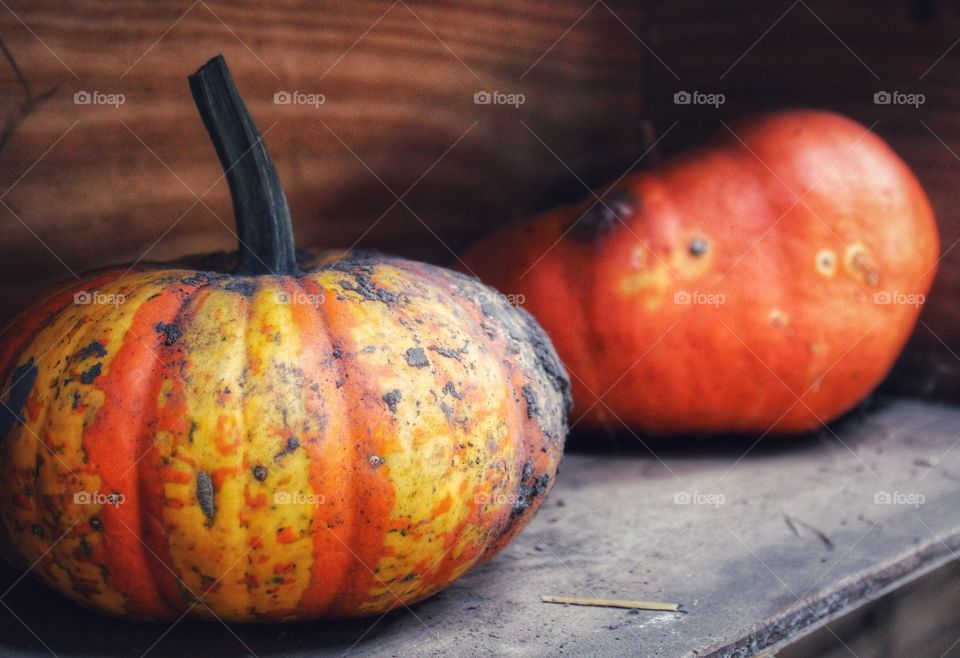 dirty pumpkin on the shelf