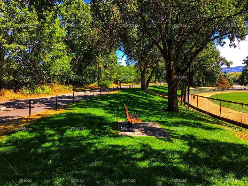 Beautiful summer day! 