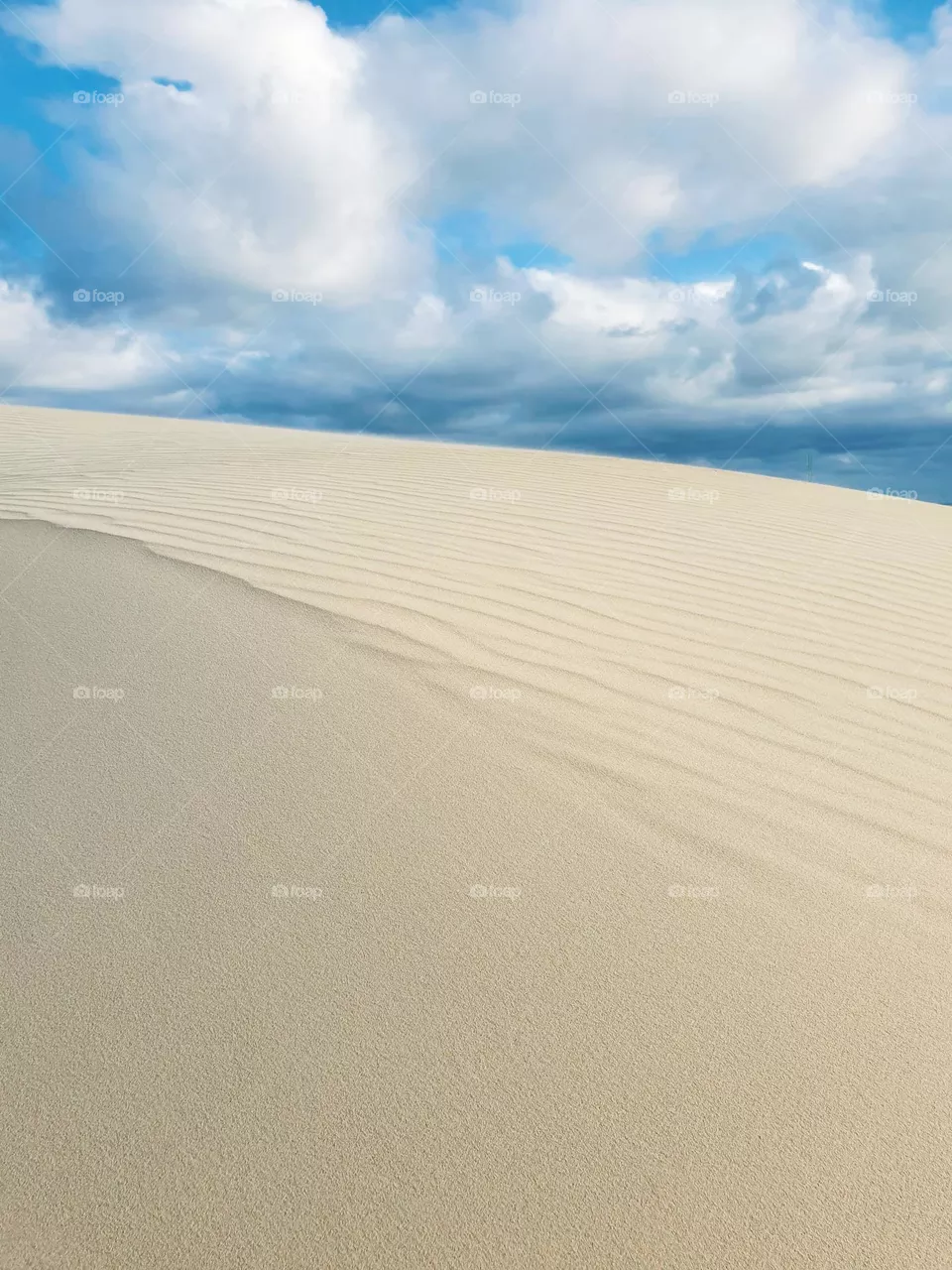 Dune