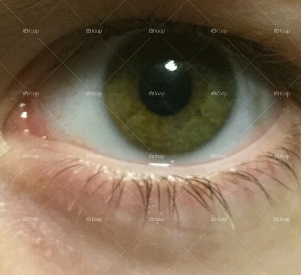 Beautiful green eye of a human.