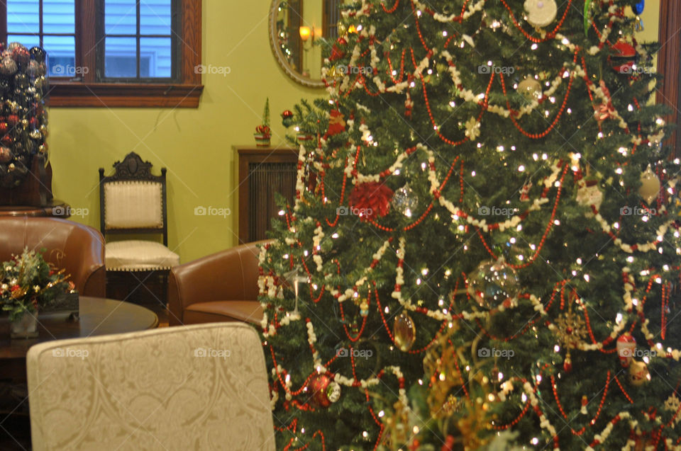 Living Room Christmas Tree