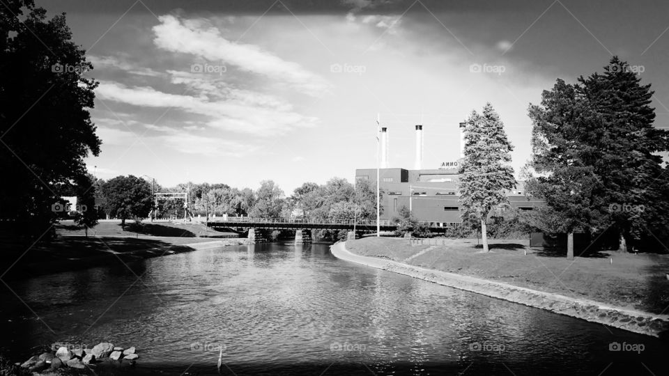 Morehouse Park stream