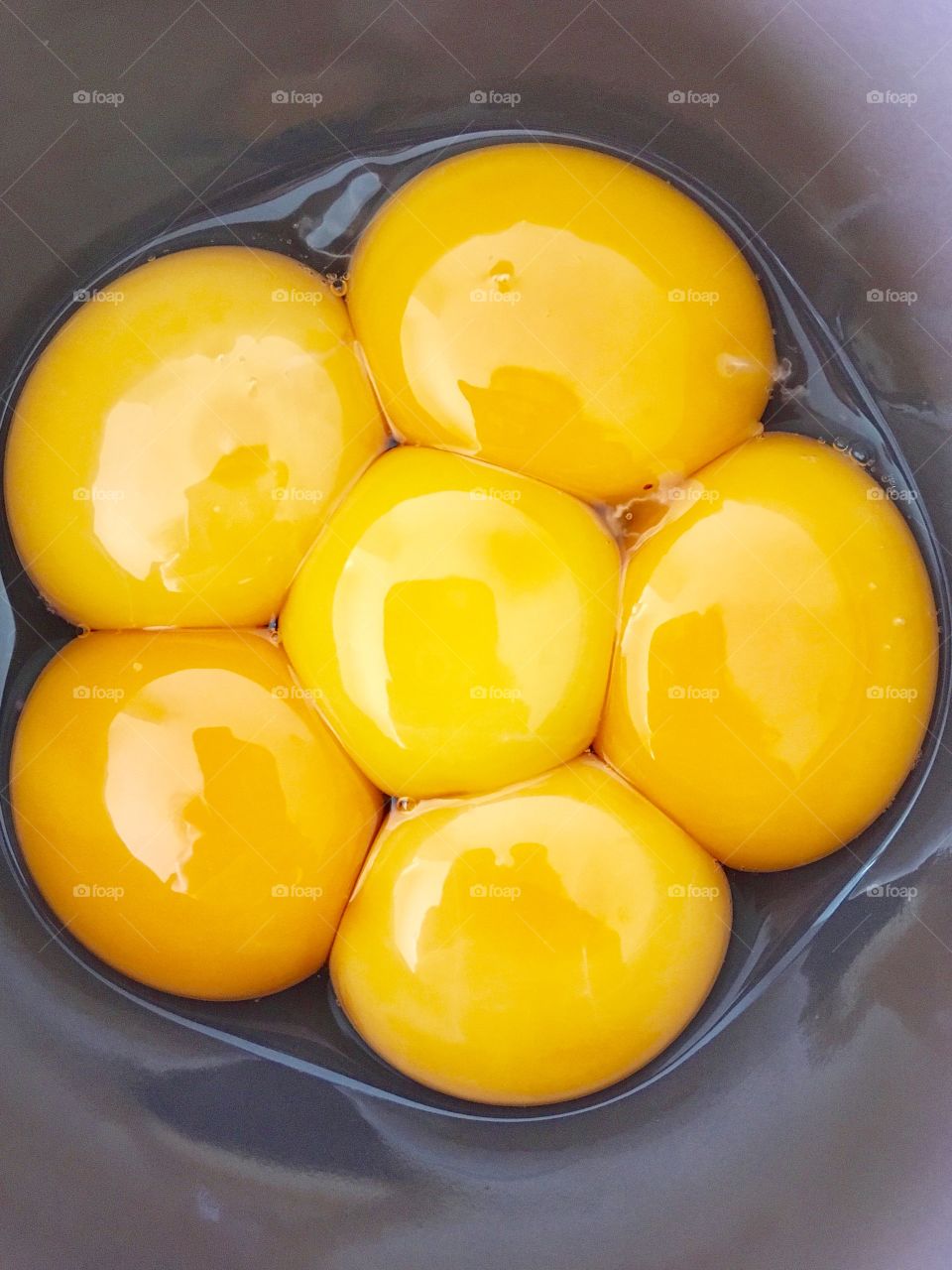 Egg Yolk