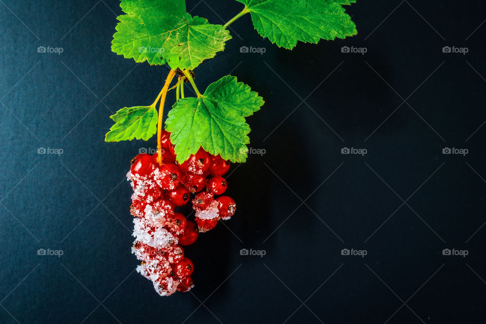 red currant on a black background