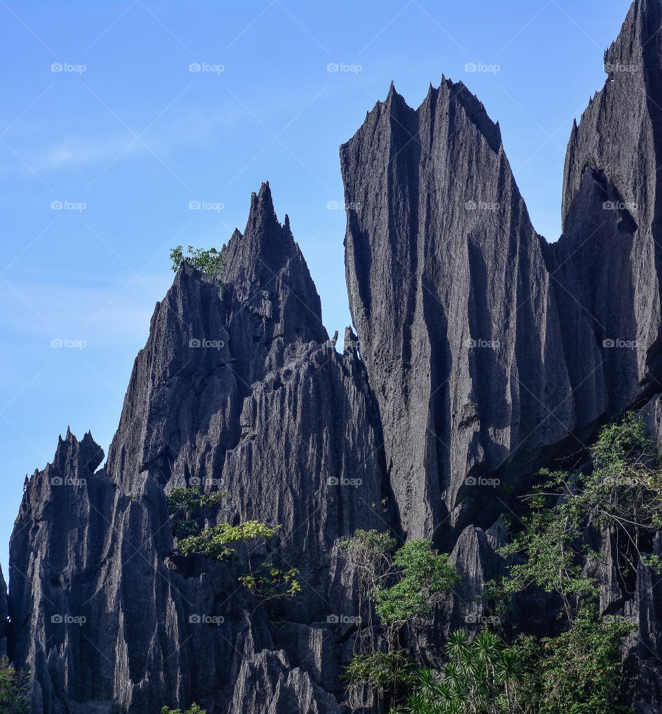 Limestone formations at Barracuda Lake, Palawan, Philippines