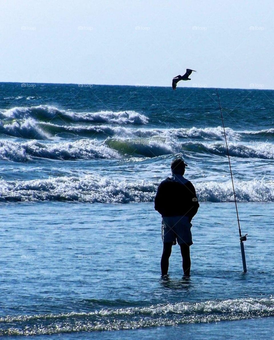 foap mission moods of weather silhouette of man fishing early spring evening pelican hoping for easy dinner ocean waves beach enjoying peaceful cool nature