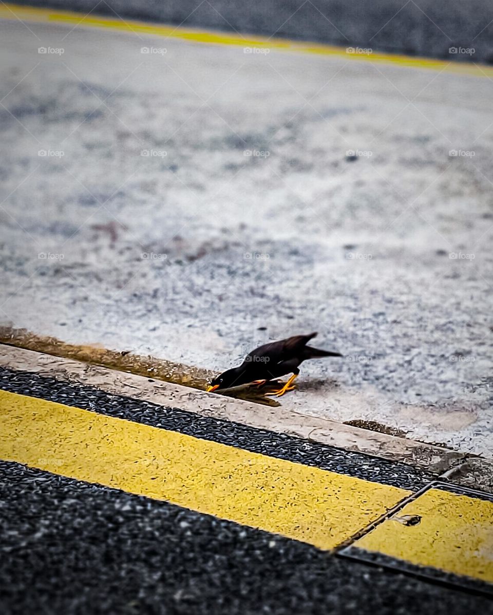 Drink while you can. Keep your self hydrated.