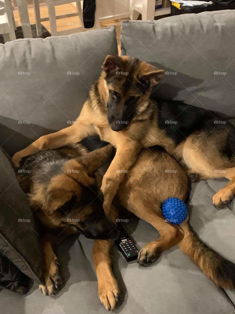 Heyyyy Yahhh, take this sista!!