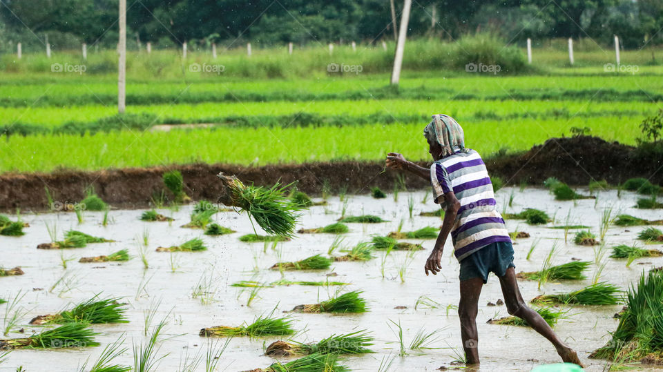 A story of a farmer who is working on his own field for his satisfaction.. Working hard to struggle poverty #Indian agriculture