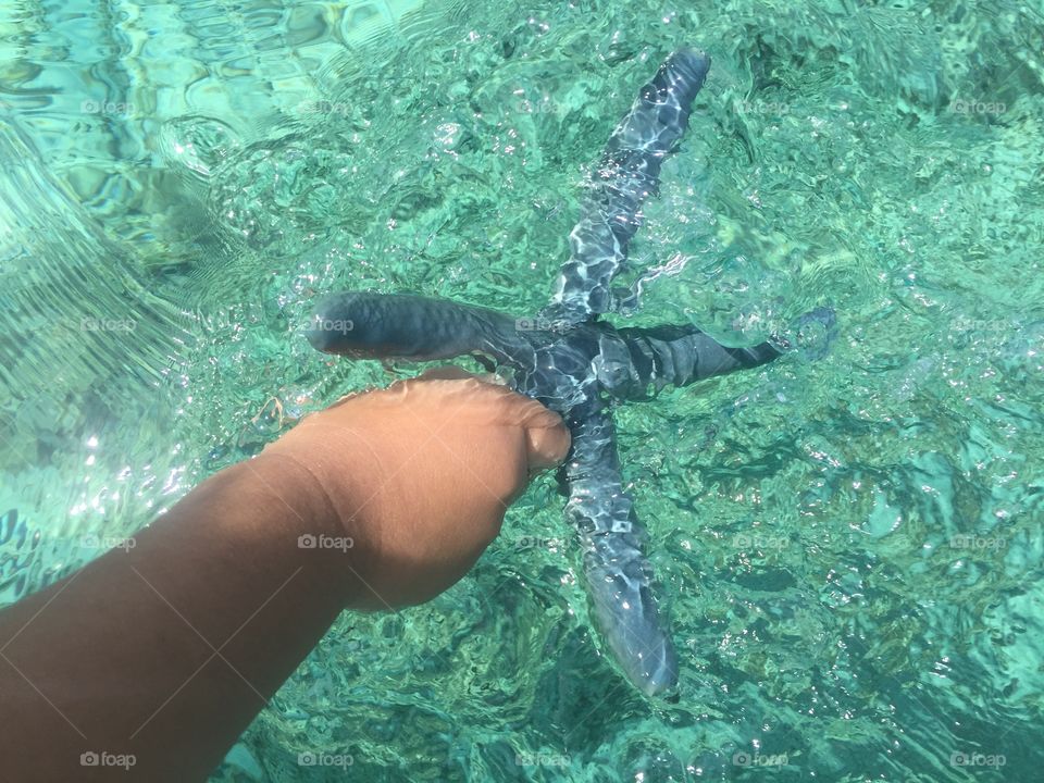 Returning starfish to the sea.