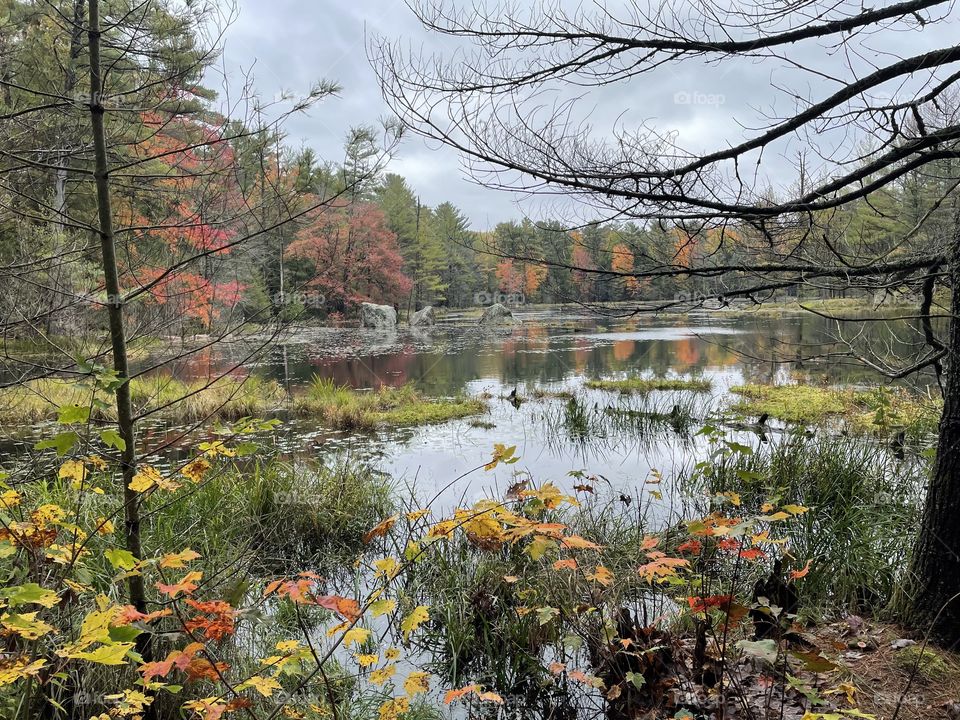 Beautiful view, Seeing double 