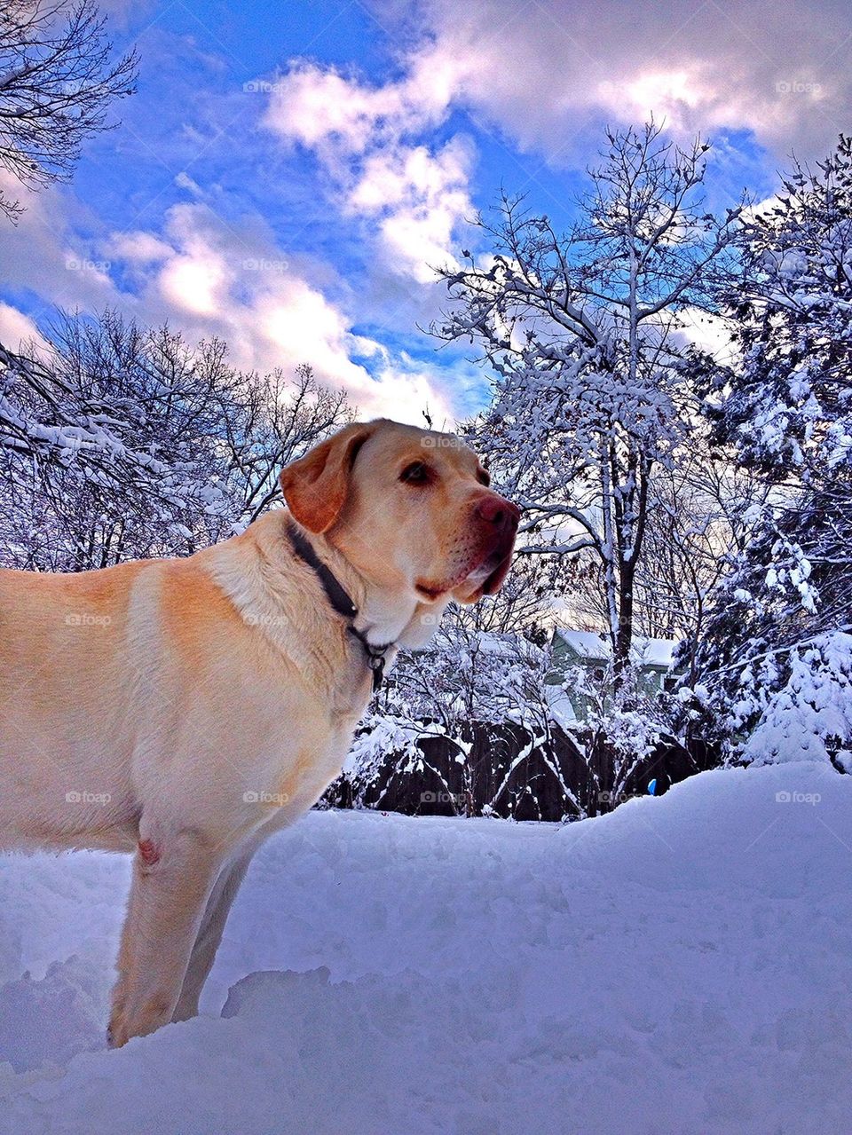 sky blue polar vortex brr by jmh