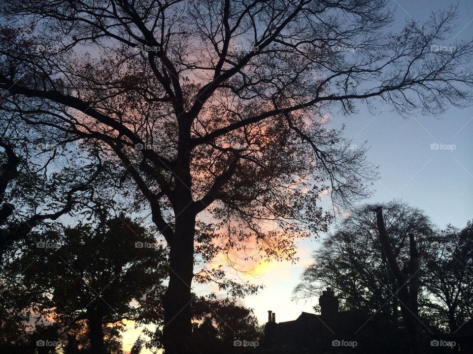 November sunset, Chertsey, Surrey, England.