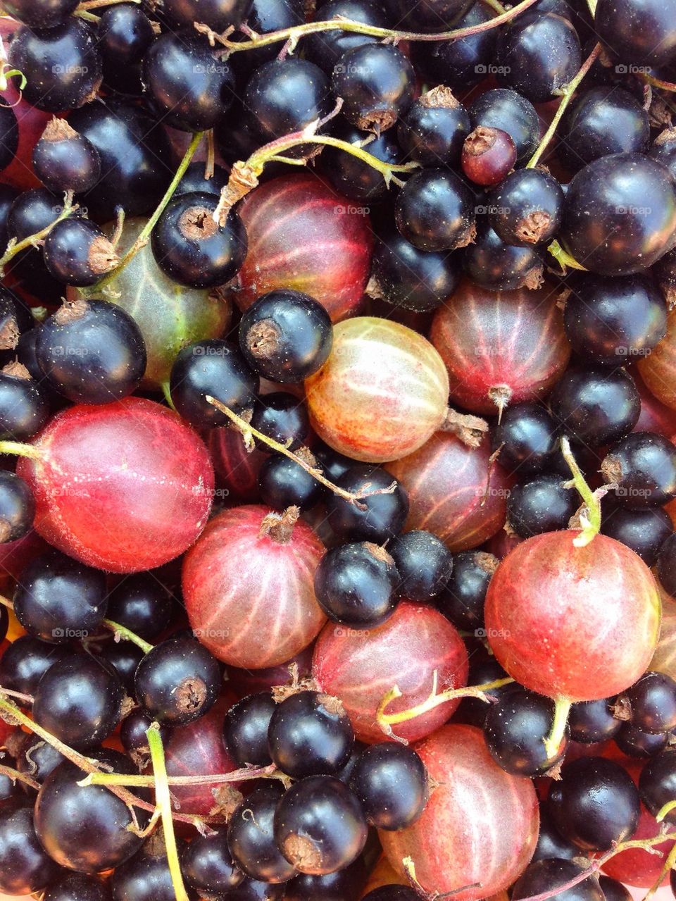 Close-up of fruits