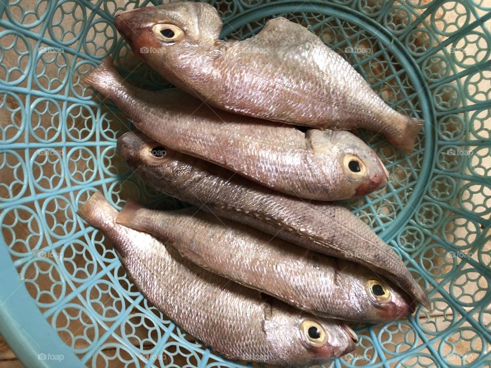 Delicious fishes 