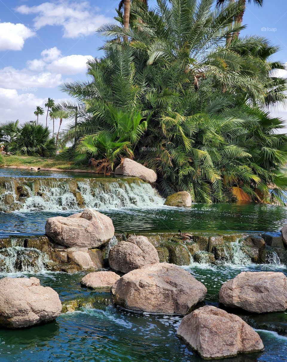 Palms Clouds and Waterfall