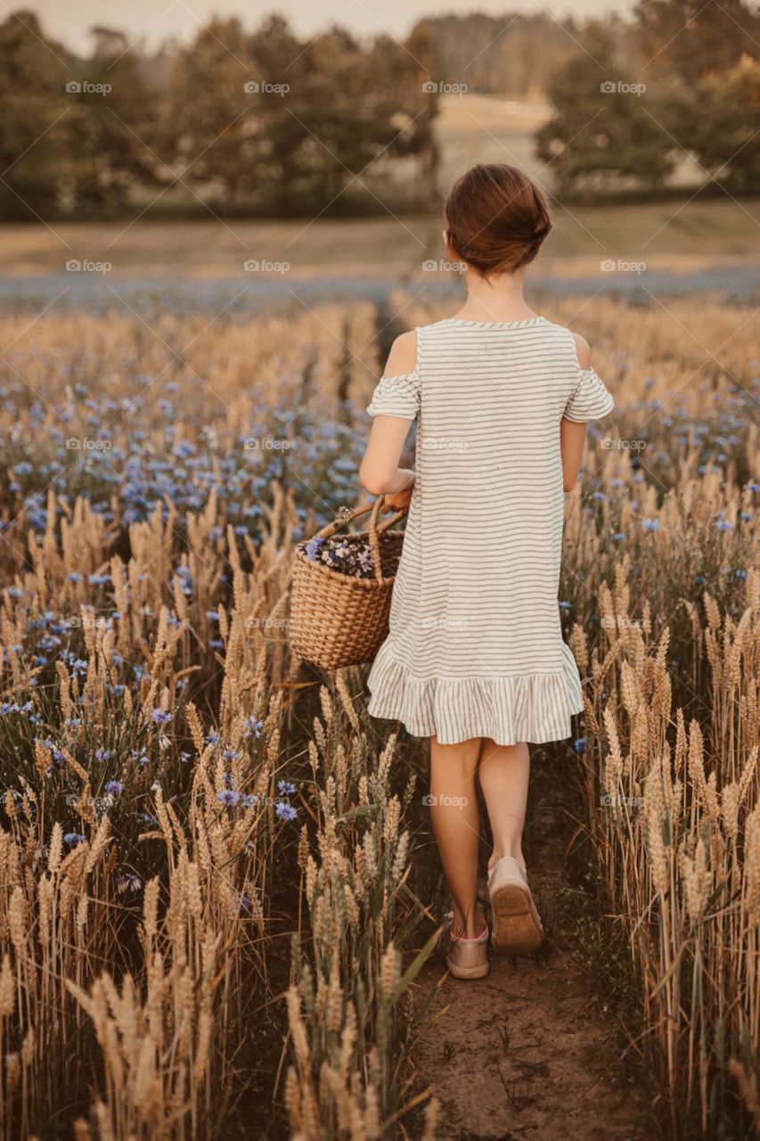 A little girl with a small basket, picking roses