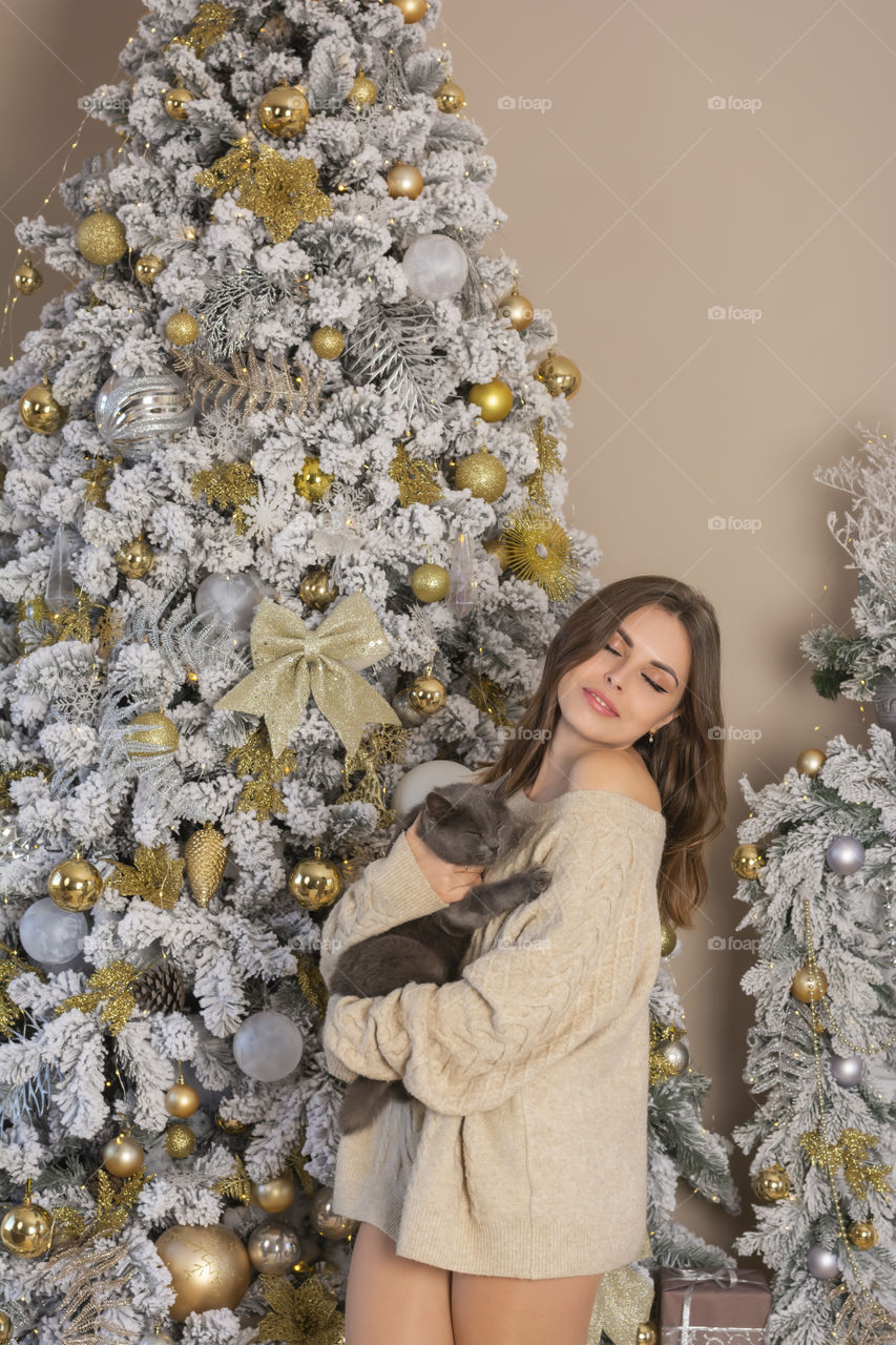 Close-up of a woman in a sweater with a cute cat in her hands near a snow-covered christmas tree. Close-up of a woman in a sweater with a cat in her hands near an decorated snow-covered Christmas tree with golden balls in the living room