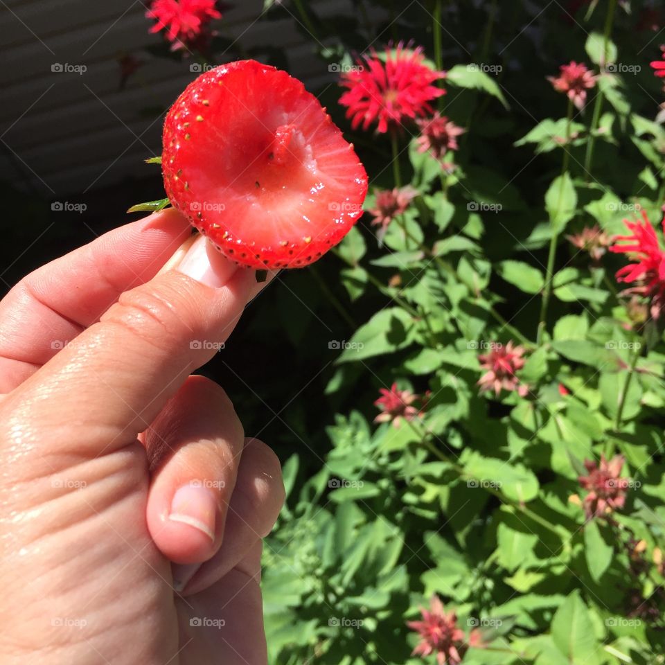 Fresh bite of strawberry