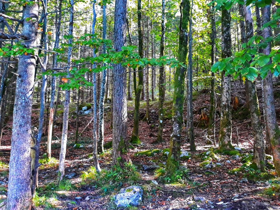 In love with the autumn season