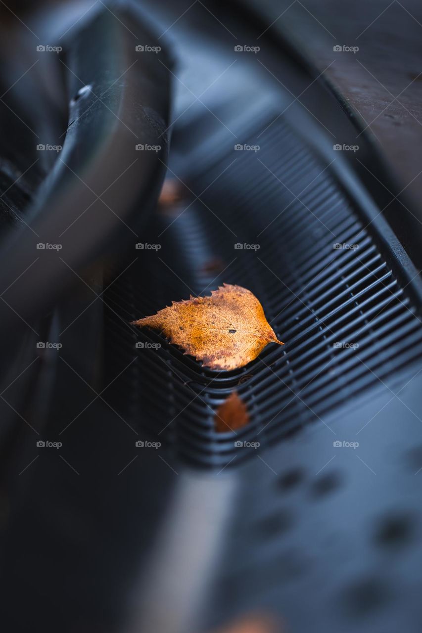 A portrait of an orange fallen birch autumn leaf lying in a vent of a car which was parked outside.