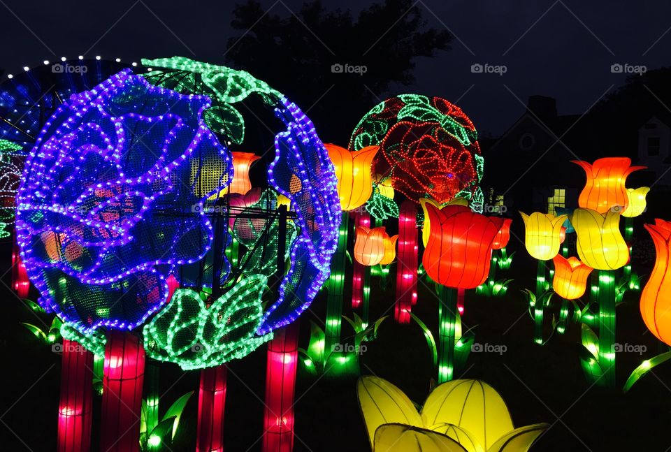 Spectacular display of lights!
China Lights at the Botanical Gardens