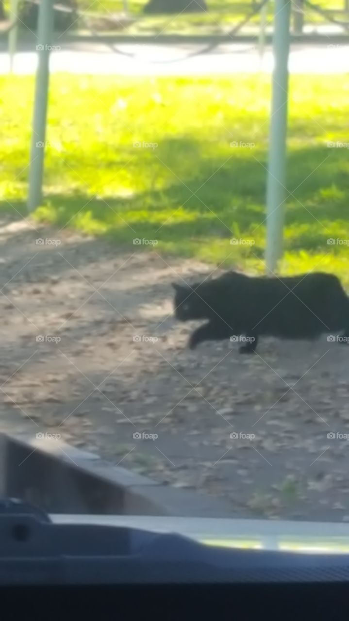 going for that sneek attack