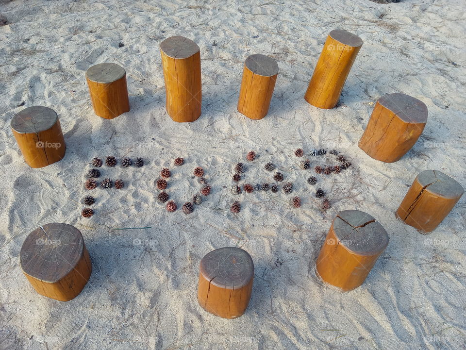 foap words that's made by falling Red Pine Flowers on the sand and surrounded by 10 pieces of tree trunks which means you can find everything in foap. it may be season, life, nature, or negligent things turned into important one.