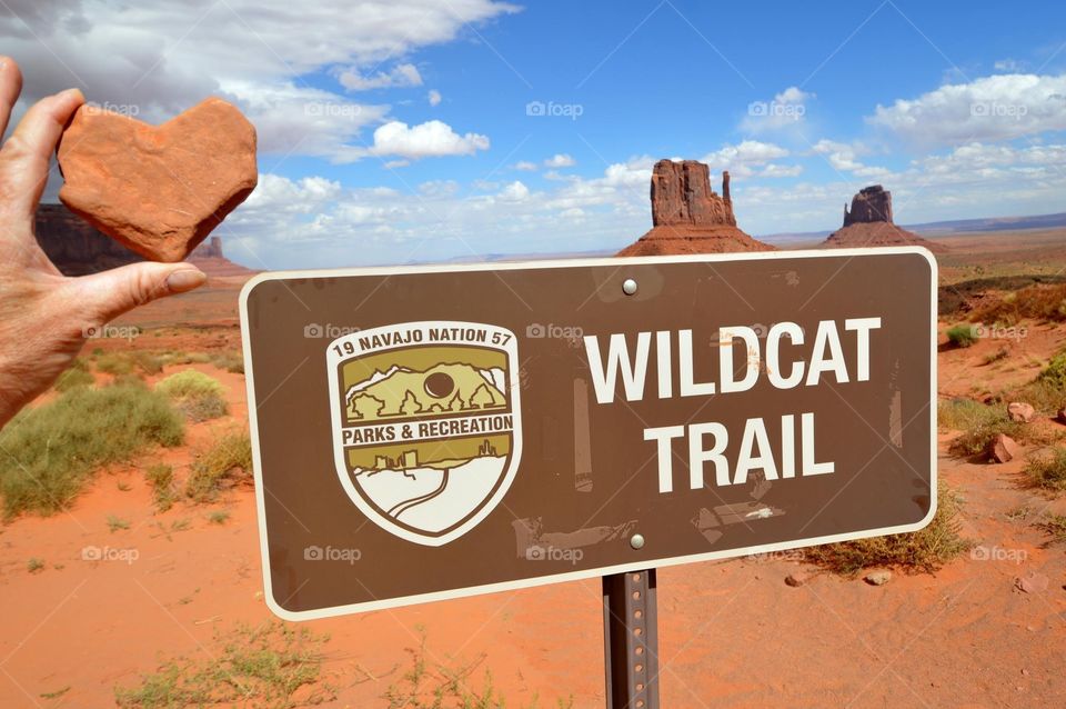 Wildcat Trail is a 3.3-mile look around West Mitten Butte in Arizona on the Navajo Nation. 