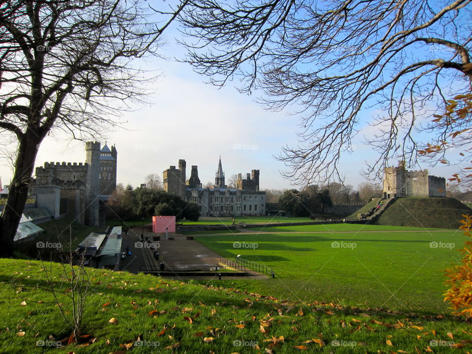 Tree, No Person, Architecture, Castle, Landscape