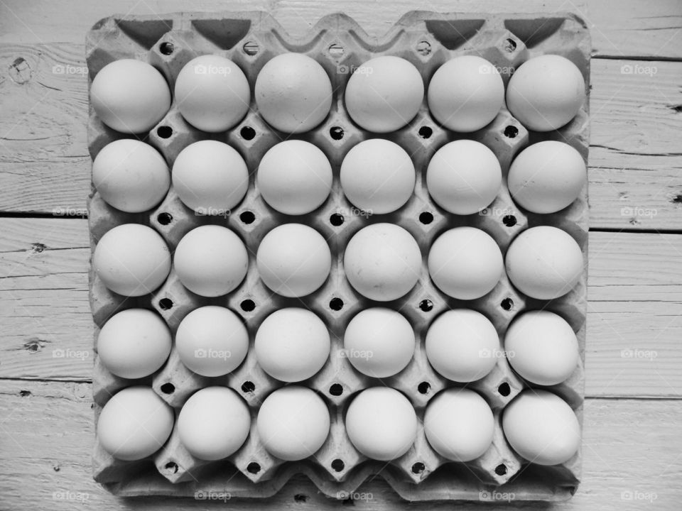 chicken eggs