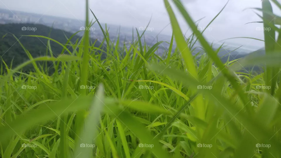 Nature is peaceful