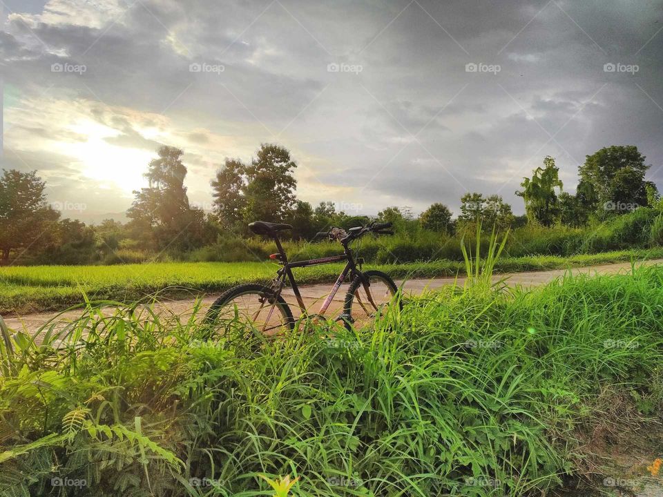 bicycle and sunset