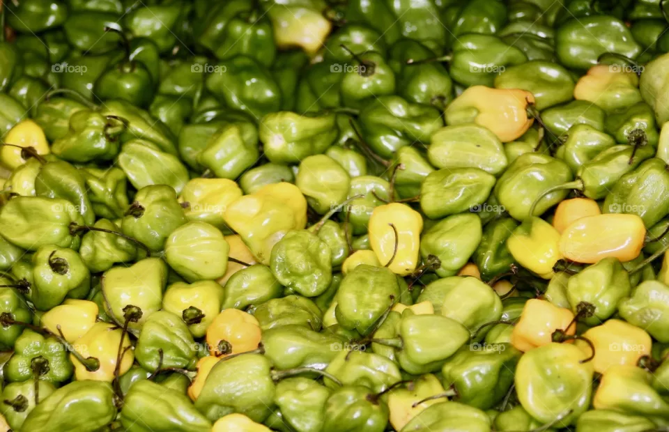 Peppers