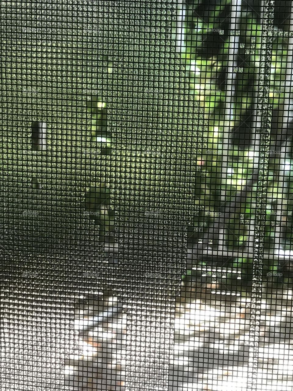Raindrops entangled in a window net.