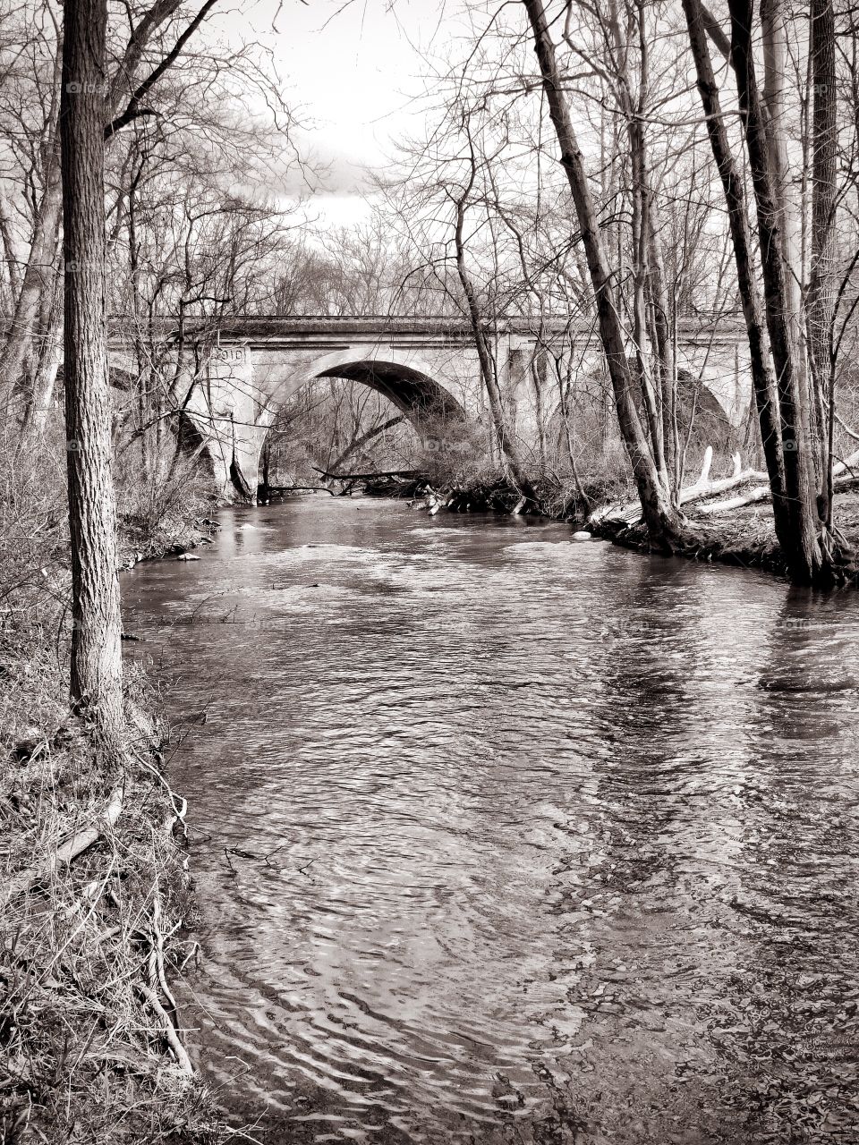 River with old train tracks