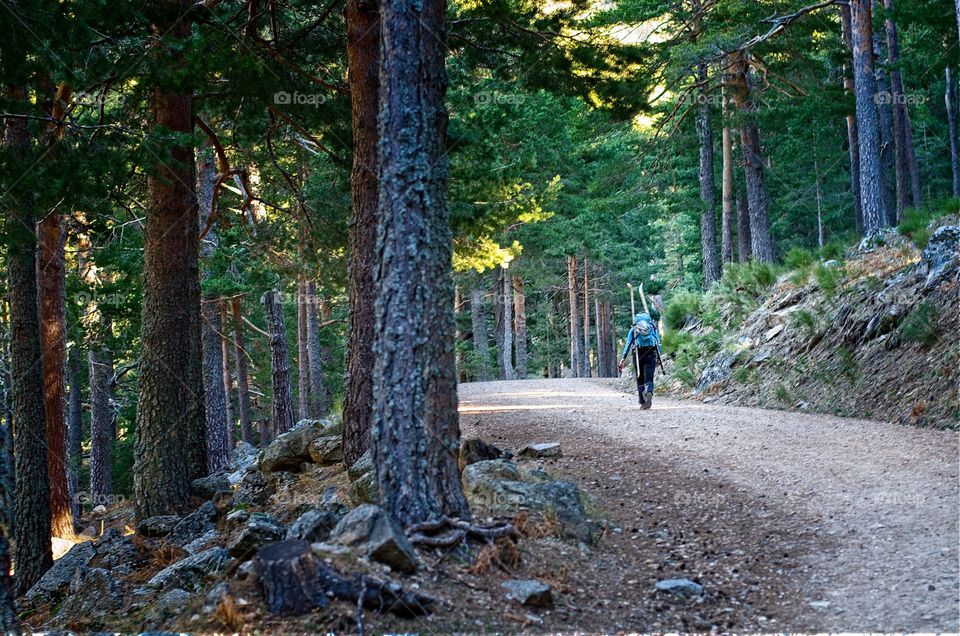 A person walks with skis on her back in the mountain 