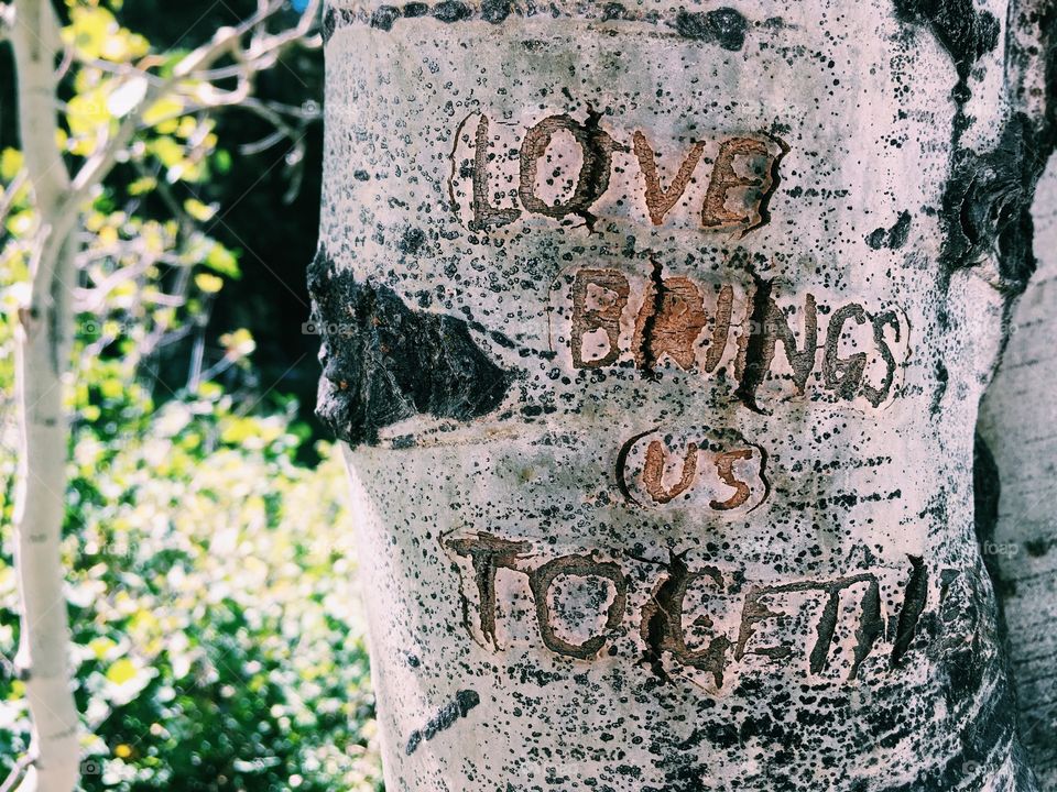 Love brings us together. 